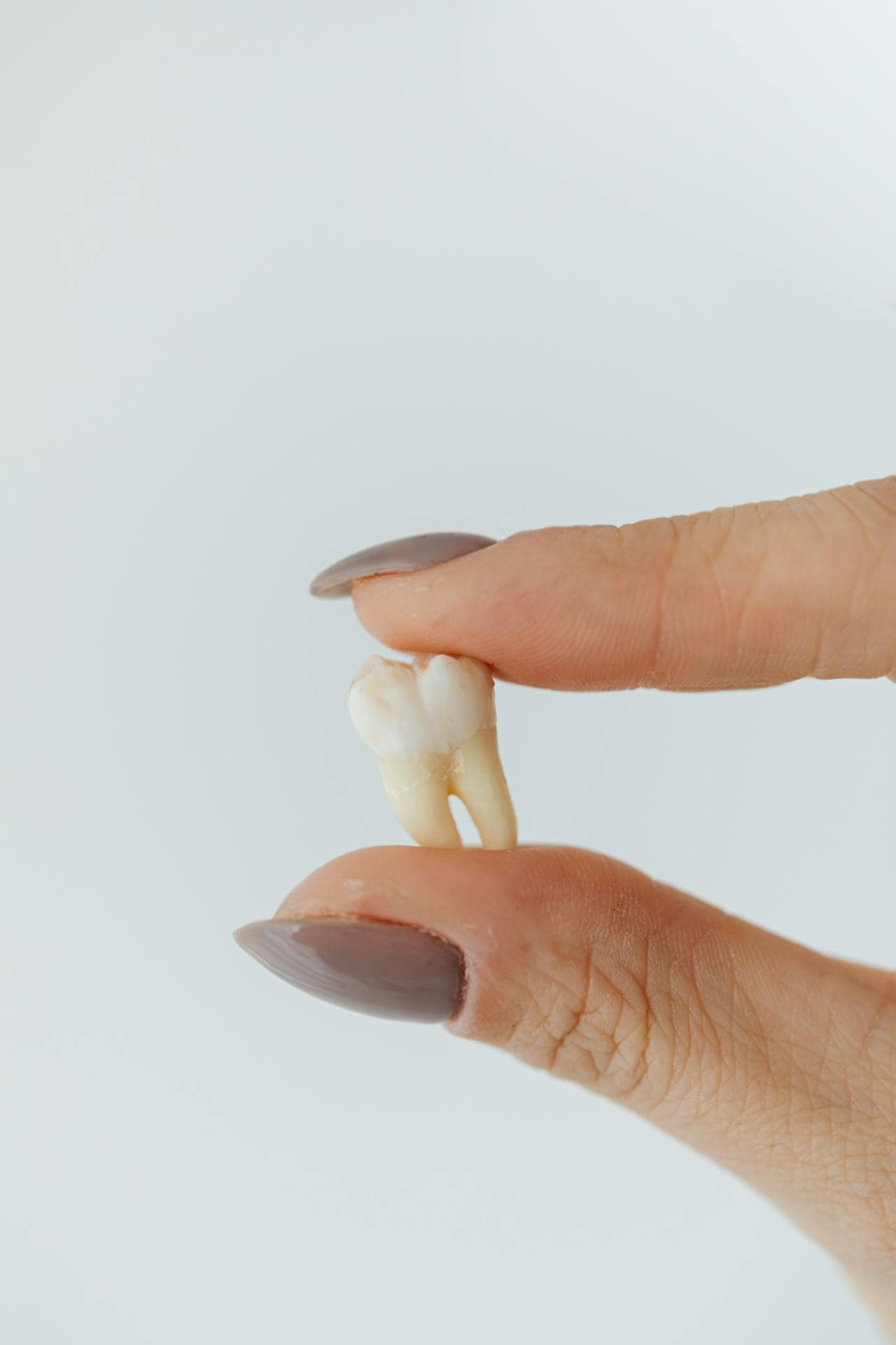 Dental Cleaning vs. Teeth Polishing: What’s the Difference?